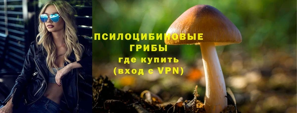 ALPHA PVP Алексин