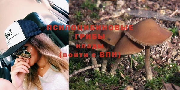 молекула духа Алексеевка