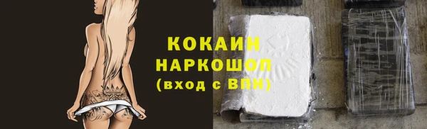 стаф Магас