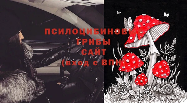 молекула духа Алексеевка