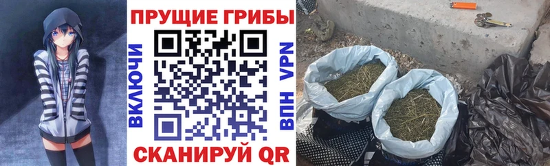 Псилоцибиновые грибы Cubensis  где купить   Рыбинск 