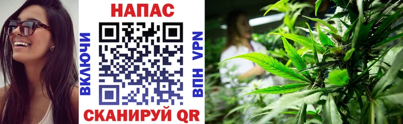 Бошки Шишки сатива  Рыбинск 